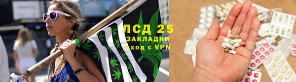 спиды Моршанск